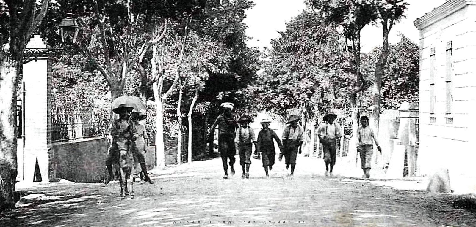 1735- Castiglione - Avenue2 de la Gare.jpg